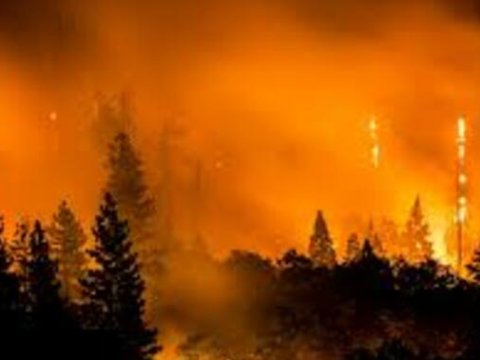 Laçındakı yanğına görə 3 nəfər saxlanıldı - RƏSMİ