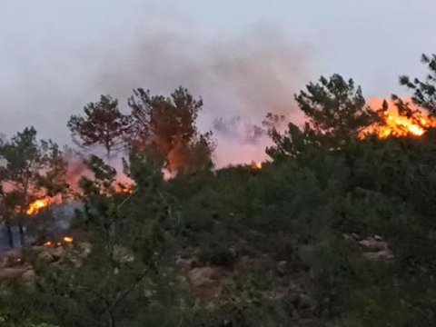 Laçındakı yanğın tam söndürüldü