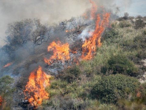 Siyəzəndə maşın&nbsp;aşdı - Dağlıq ərazidə yanğın oldu