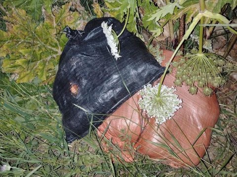 İrandan Azərbaycana narkotik keçirilməsinin qarşısı alındı