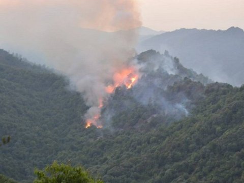 Yanğına görə 23 nəfər saxlanıldı - 4-ü həbs olundu