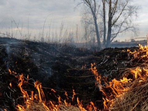 Ağdam və Ağdərədə açıq ərazidə yanğın nəzarətə götürüldü