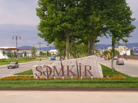 Vüqar Nadirov baş məsqçi təyin olundu