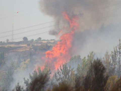 Füzulidəki&nbsp;yanğın nəzarətə götürüldü