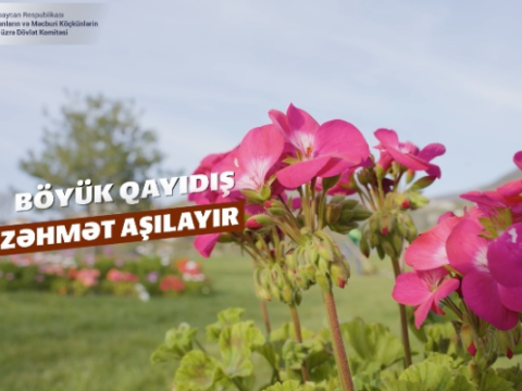 Böyük Qayıdış zəhmət aşılayır - VİDEO 