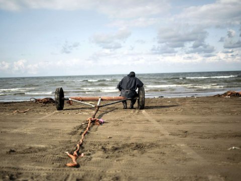 Xəzərdə suyun səviyyəsi rekord həddə düşüb: balıqlar və suitilər təhlükədə