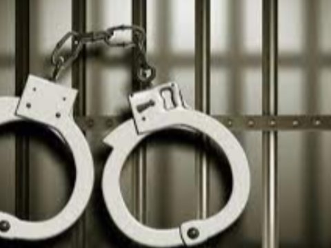 Builki cinayətlərin statistikası AÇIQLANDI