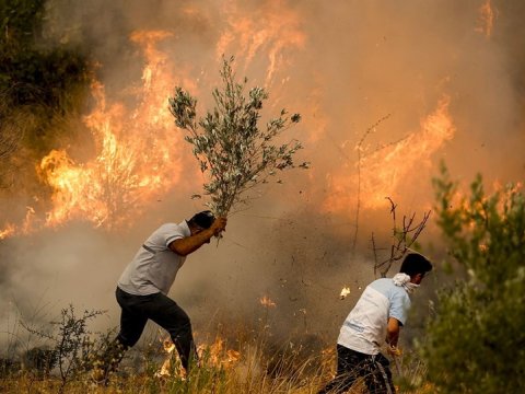 ANAMA&nbsp;azad edilmiş ərazilərdəki yanğınlarla bağlı müraciət etdi