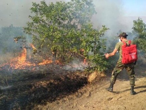 Meşə və təbiət ərazilərinə yaxın sahələrdə 83 yanğın olub
