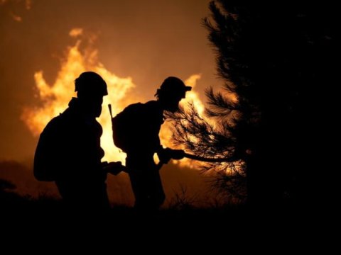 Meşə yanğınlarına görə 17 nəfər tutuldu