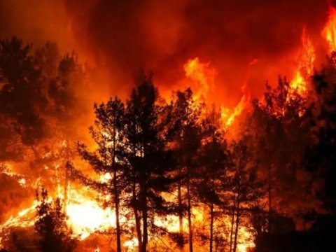 Türkiyədə&nbsp;meşə yanğınları GENİŞLƏNİR