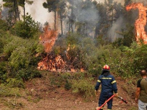 Yunanıstanda meşə yanğınları davam edir