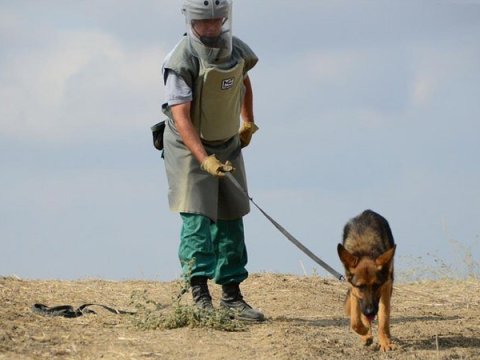 Minalardan nə vaxt tamamilə azad olacağıq? - Gözlənilən TARİX