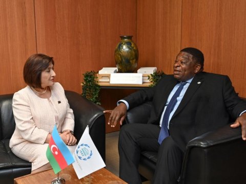 Sahibə Qafarova Baş katiblə görüşdü