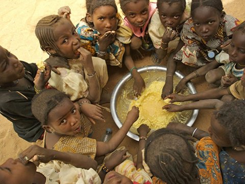 Dünya əhalisinin 8,2 faizi aclıqdan əziyyət çəkir
