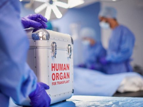 Azərbaycanda orqan köçürülməsi üçün 910 nəfər növbə gözləyir