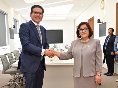 Sahibə Qafarova Braziliya Deputatlar Palatasının sədri ilə görüşdü