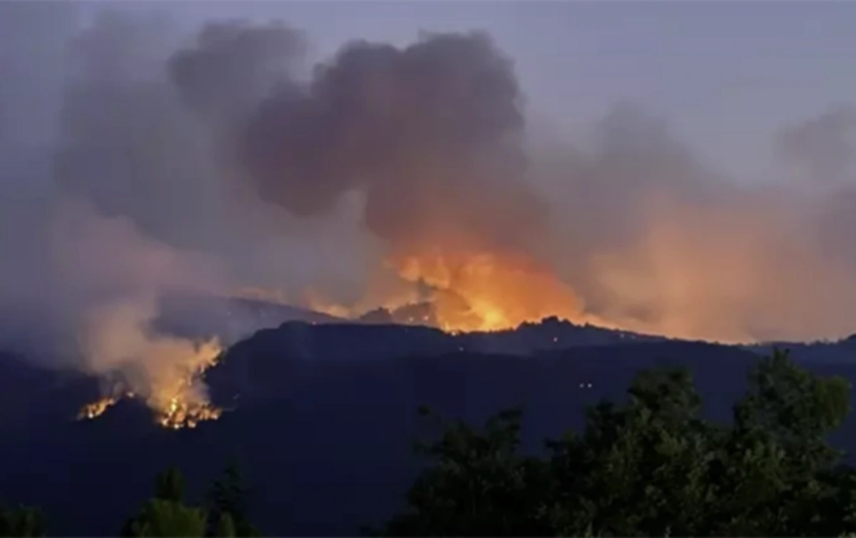 Şəkidə dağlıq ərazidə yanğın - VİDEO