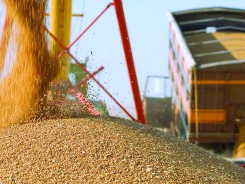 Azərbaycan Qazaxıstandan taxıl idxalını 120 dəfə artırıb