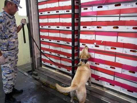 Astarada uğurlu əməliyyat - 103,3 kq narkotik aşkarlandı