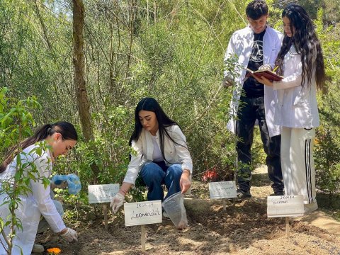 COP29-a görə bəzi ixtisasların keçid balı arta bilər 