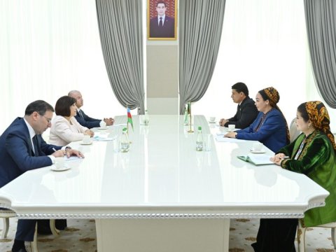 Sahibə Qafarova həmkarı ilə görüşdü