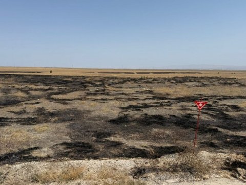 Cəbrayılda yanğın törədən şəxslər saxlanıldı
