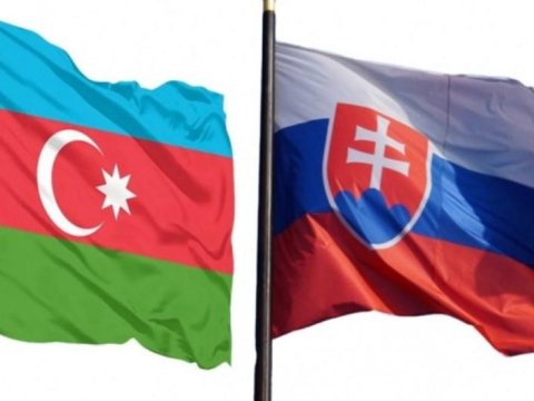 Azərbaycanla&nbsp;Slovakiya arasında siyasi məsləhətləşmələr