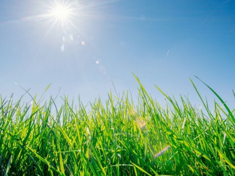 Sabah hava necə olacaq?