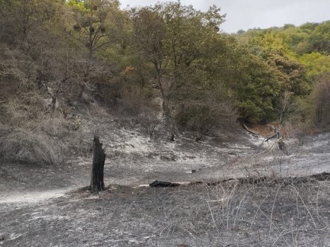 Ağdam və Xocavənddəki yanğınlar SÖNDÜRÜLDÜ