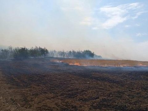 Zibil yandırırdı - Yanğına səbəb oldu