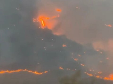 Zəngilanda yanğın törədən şəxs TUTULDU