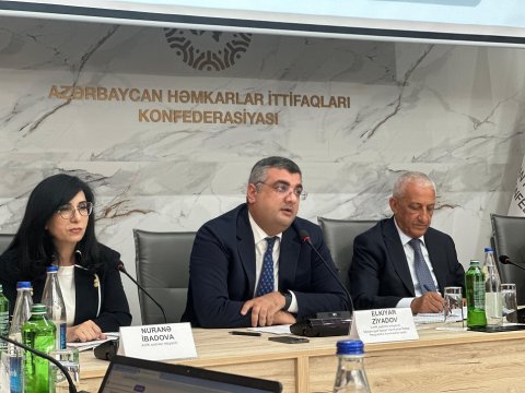 Həmkarlar niyə yollayış verməkdən imtina edir? - RƏSMİ CAVAB