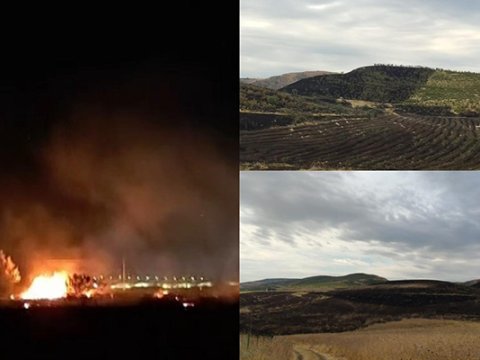 Şabrandakı yanğına görə 2 nəfər tutuldu - FOTO 