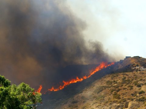 Qarabağdakı yanğınlarda insan faktoru mühüm rol oynayır - DEPUTAT