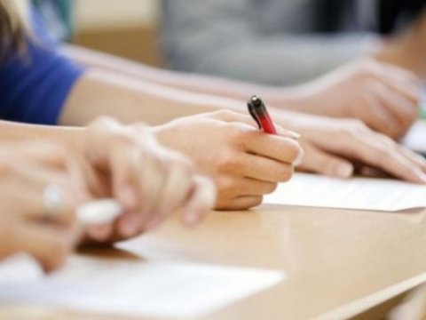 IV qrupda nə qədər plan yeri ayrılıb?