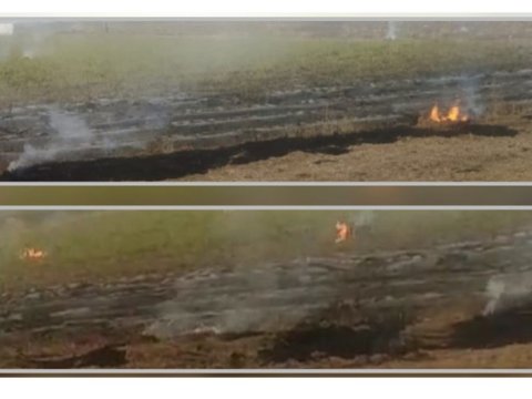 Yanğına görə 2 nəfər tutuldu