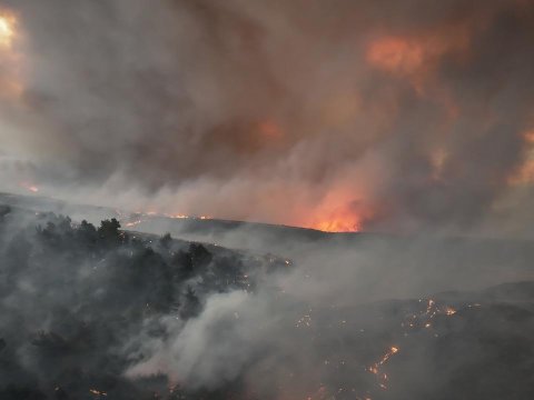 Türkiyədə meşə yanğınları DAVAM EDİR