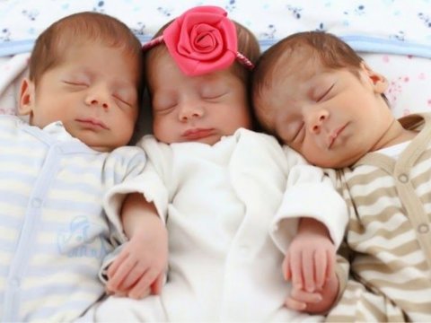 Altı ayda 63 üçəm doğulub