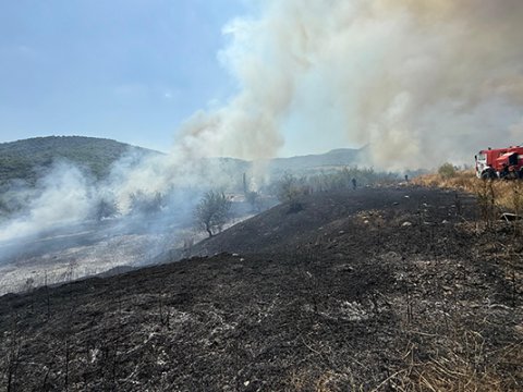 Xocalıda yanğına səbəb oldu, polis yaxaladı