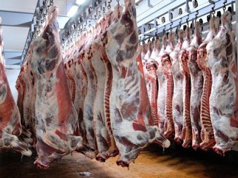 Azərbaycanda xaricdən gətirilən ət AZALIB