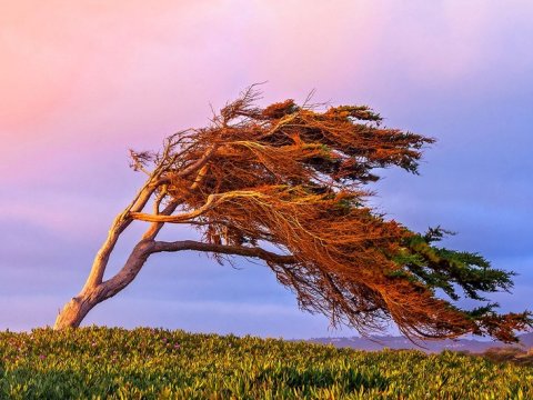 Bu rayonlarda külək güclənəcək - XƏBƏRDARLIQ