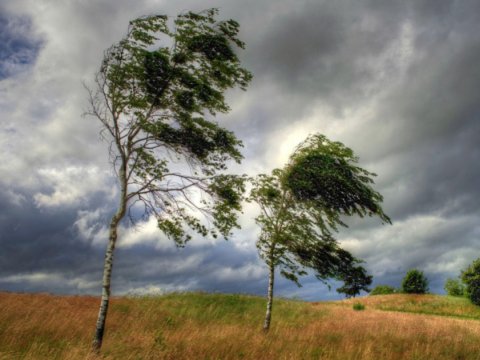 Bakıda güclü külək, rayonlara yağış - Sabahın HAVASI&nbsp;