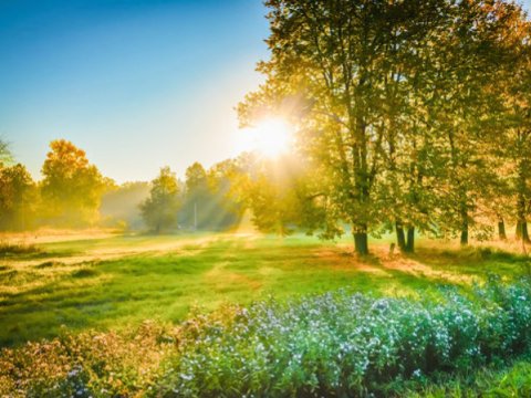 Sabah 37 dərəcə isti olacaq