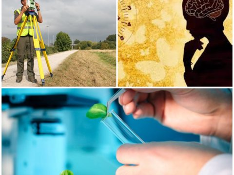 Bu ixtisaslara qəbul olunanlar iş tapa bilmir