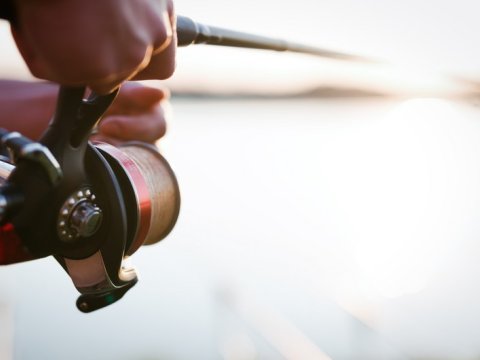 Azərbaycanda balıq ovuna icazə verilir - Tarix elan edildi