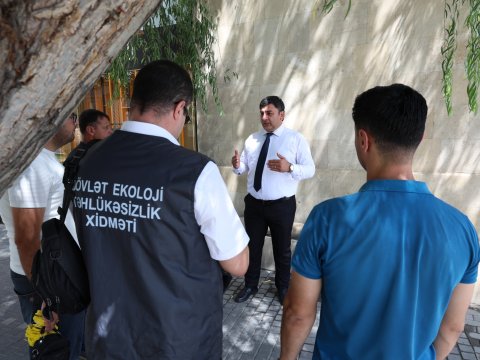 &ldquo;İçərişəhər&rdquo;də ağaclar nömrələnir - FOTO