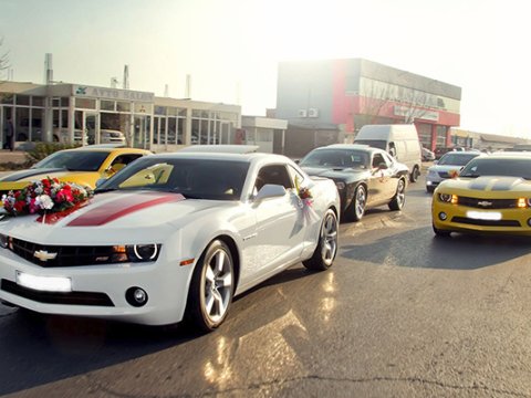 Toyun xoşbəxt sonluğu üçün vacib şərtlər... - Polis əhaliyə müraciət etdi