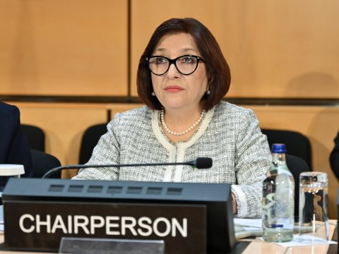 Sahibə Qafarova Türkiyəni təbrik etdi