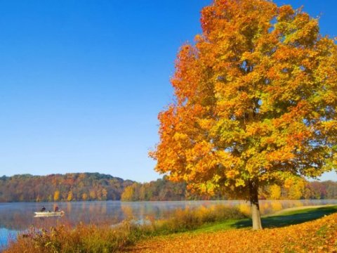 Sentyabrın hava PROQNOZU